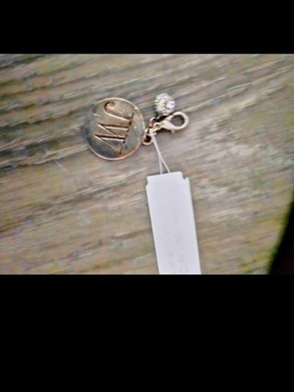 Pendant Necklace NWT